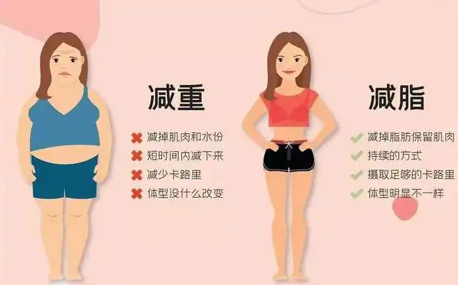 淑女奥秘会不会反弹？